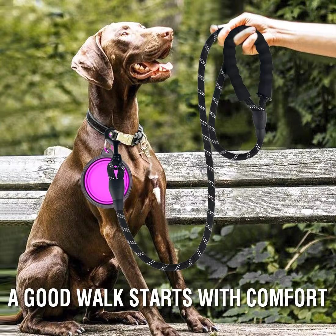 Strong Reflective Dog Leash: A Must-Have for Walks