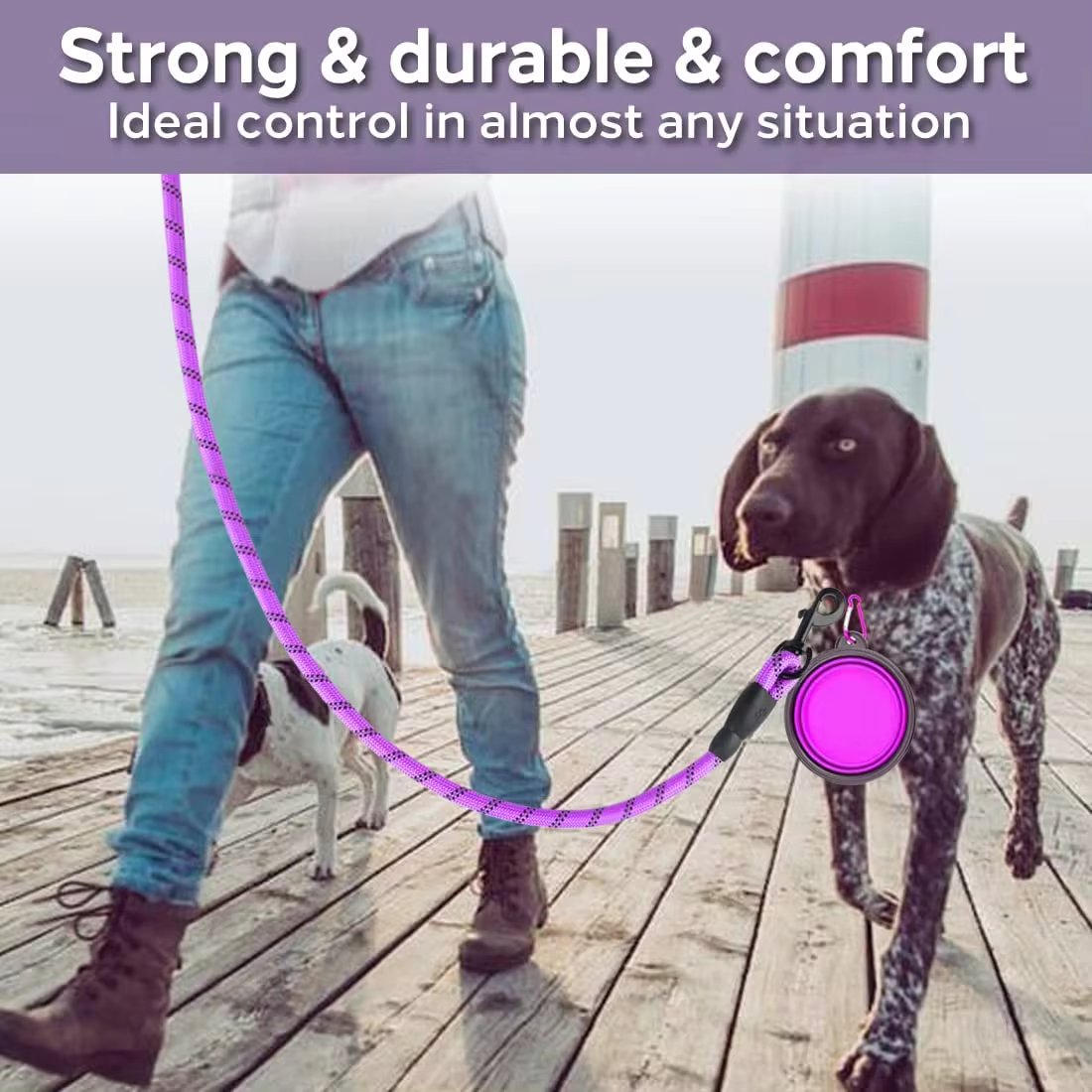 Strong Reflective Dog Leash: A Must-Have for Walks