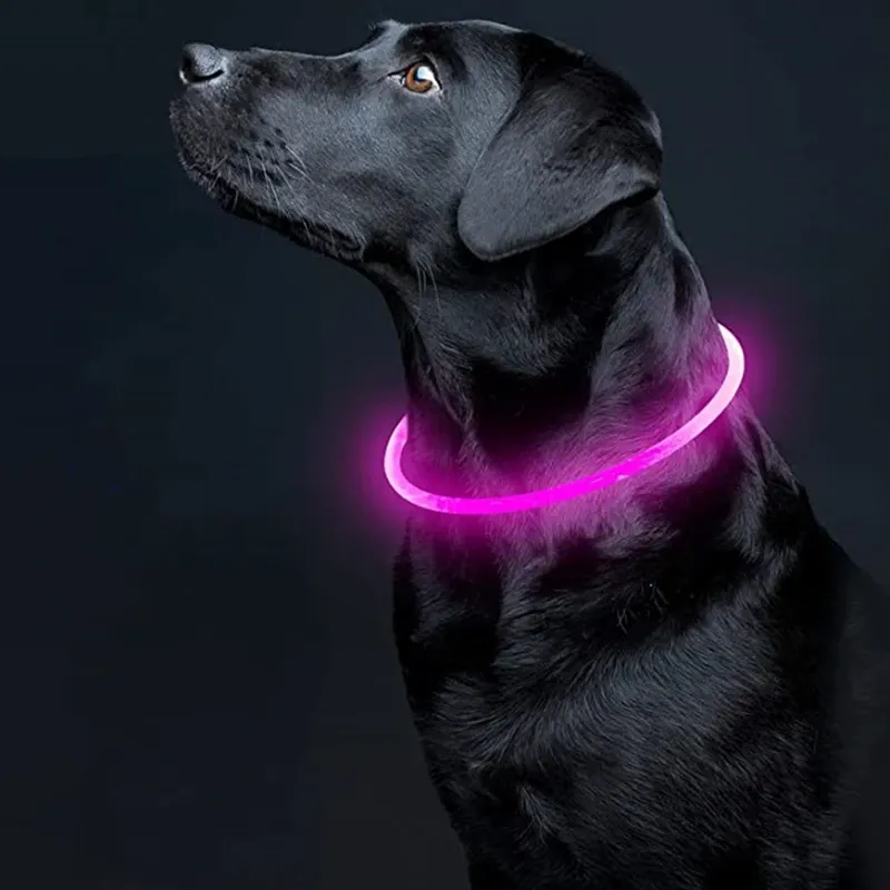 LED Dog Collar: Light Up Your Night