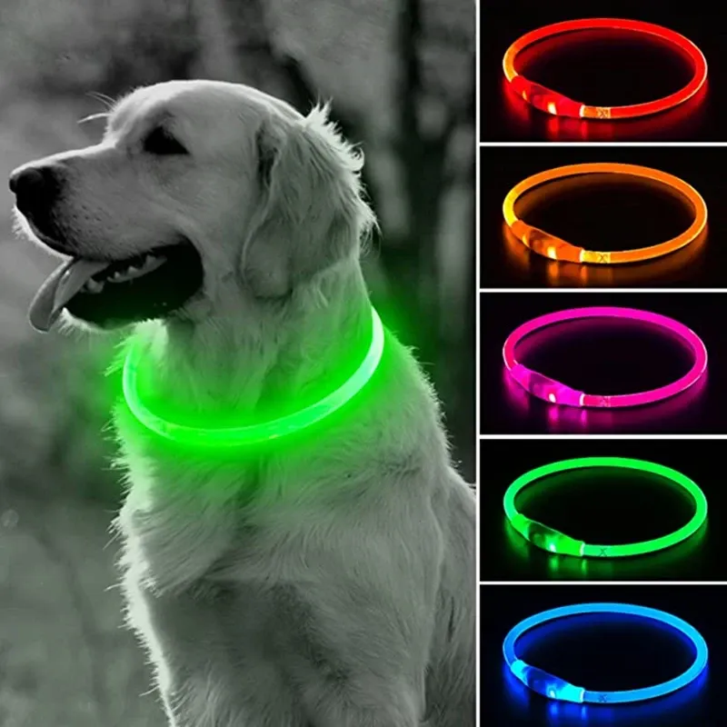 LED Dog Collar: Light Up Your Night