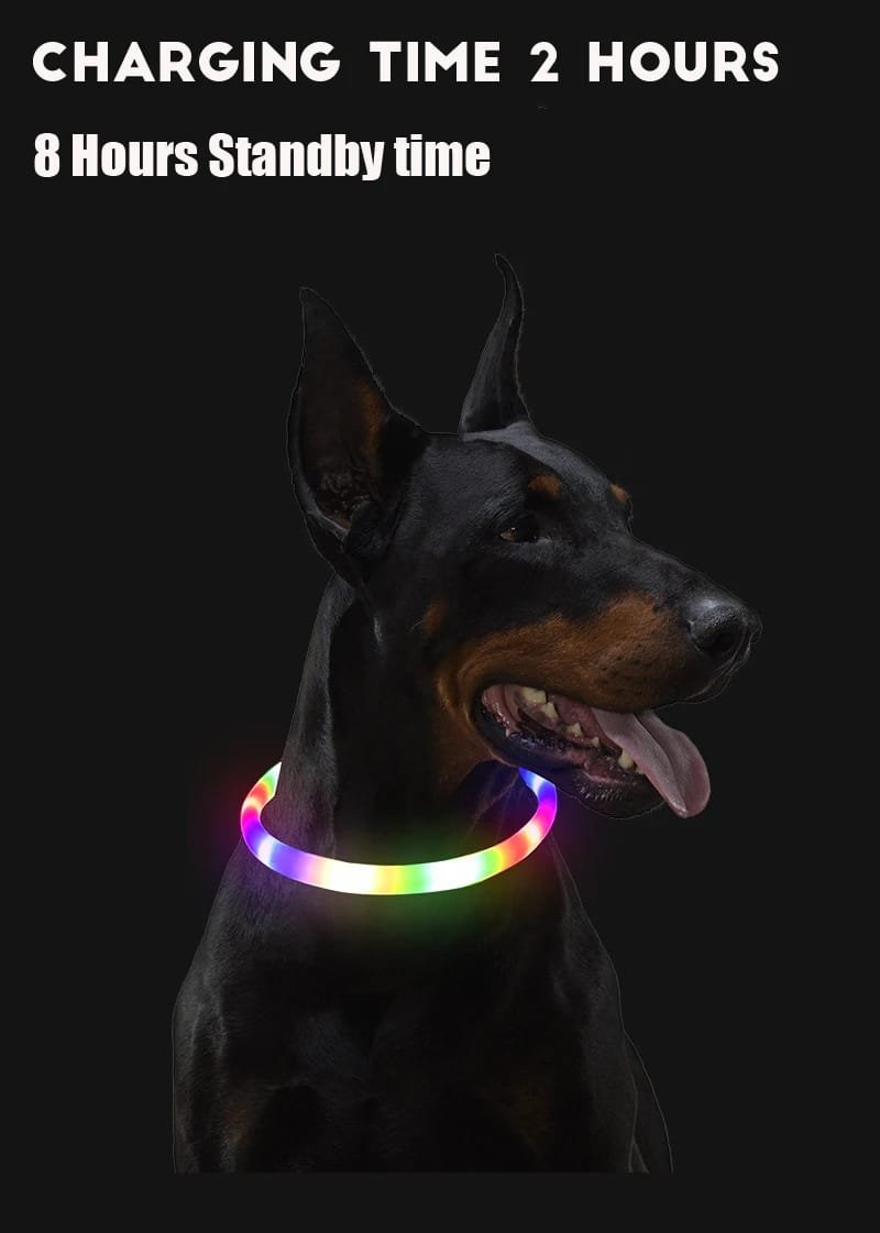 LED Dog Collar: Light Up Your Night