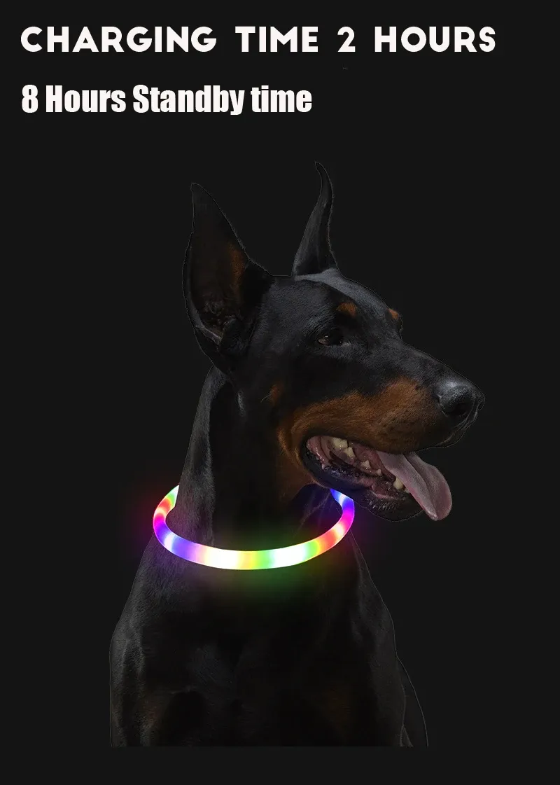 LED Dog Collar: Light Up Your Night