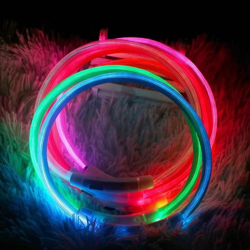 LED Dog Collar: Light Up Your Night