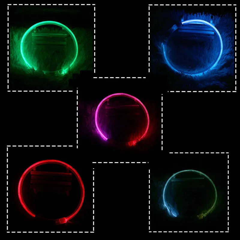LED Dog Collar: Light Up Your Night