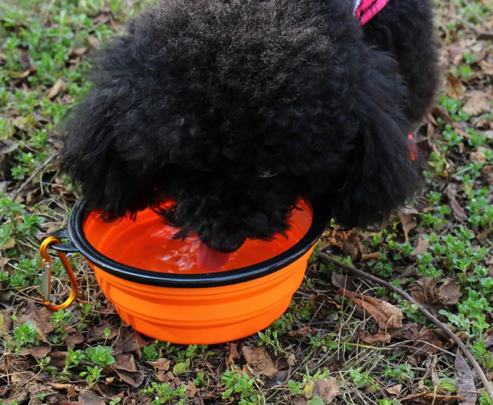 Collapsible Silicone Dog Bowl: Your Portable Pet Feeding Solution