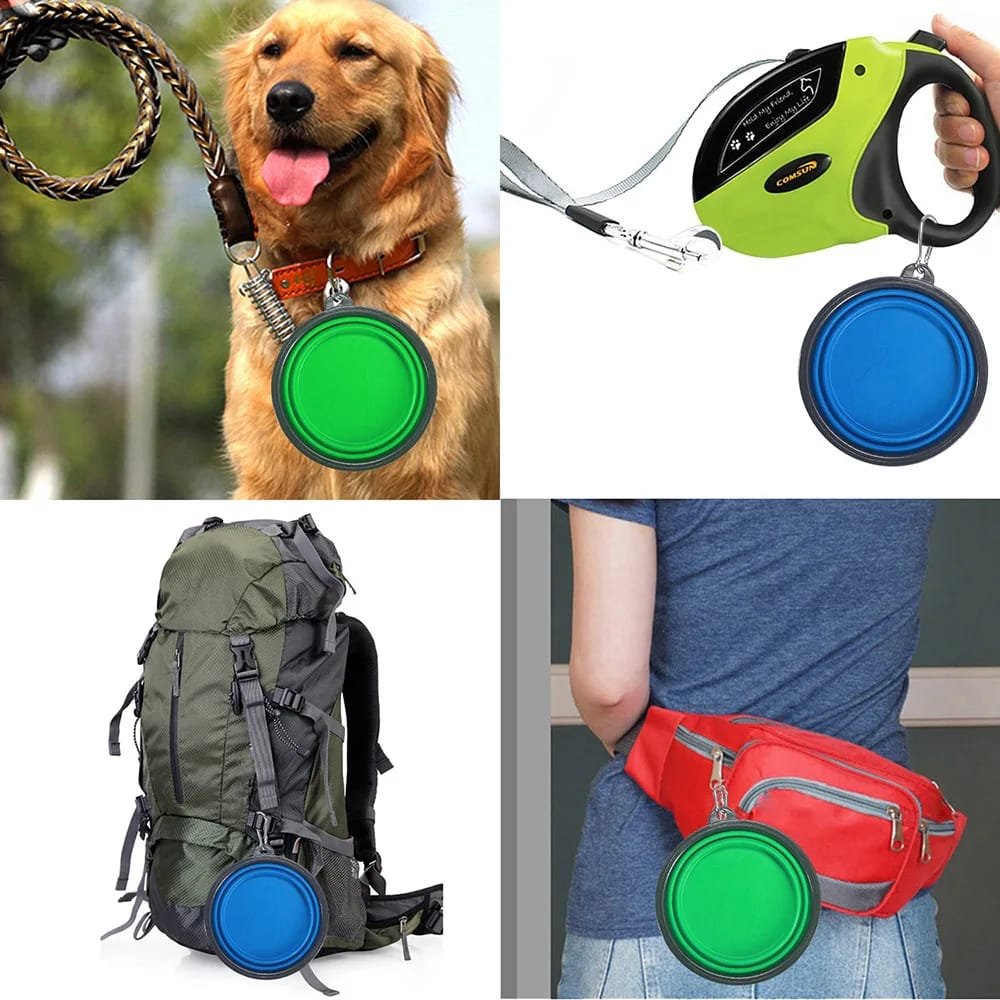 Collapsible Silicone Dog Bowl: Your Portable Pet Feeding Solution