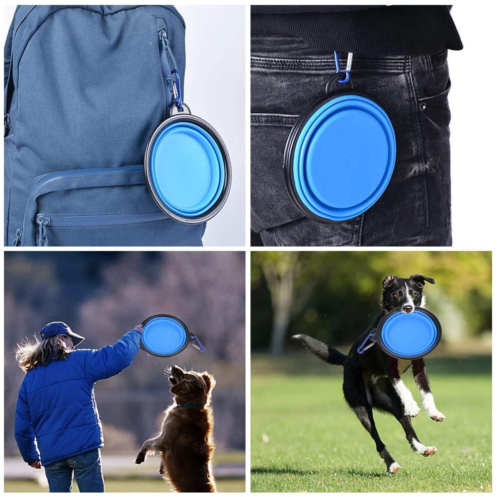 Collapsible Silicone Dog Bowl: Your Portable Pet Feeding Solution