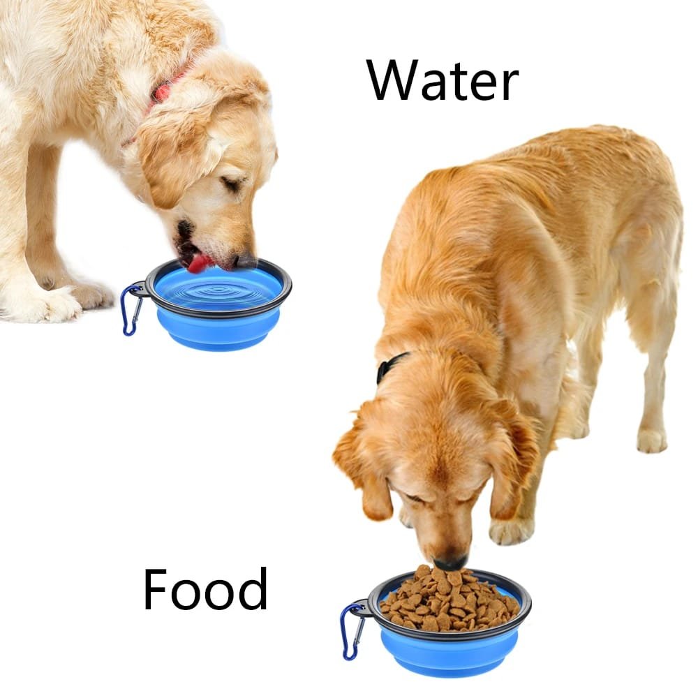 Collapsible Silicone Dog Bowl: Your Portable Pet Feeding Solution