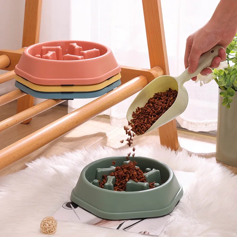 Slow Feeder Bowl: Healthy Eating for Your Pet
