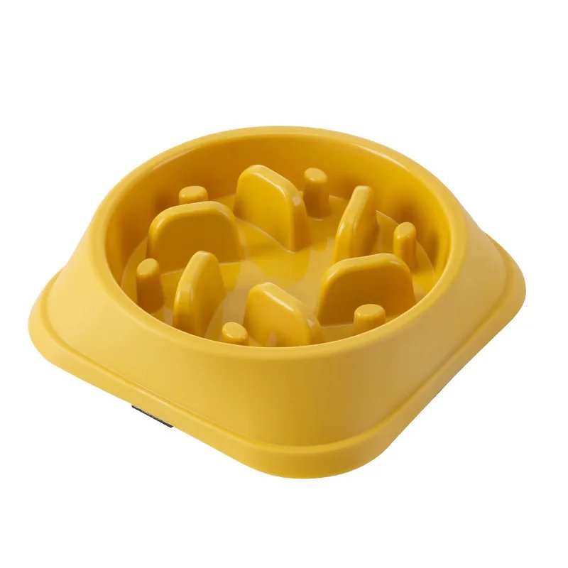 Slow Feeder Bowl: Healthy Eating for Your Pet