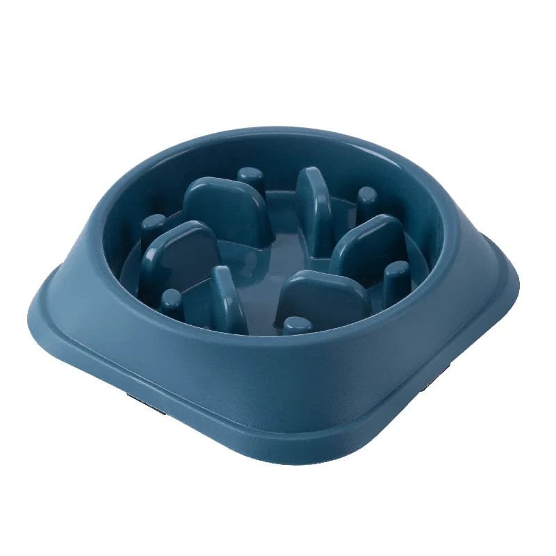 Slow Feeder Bowl: Healthy Eating for Your Pet