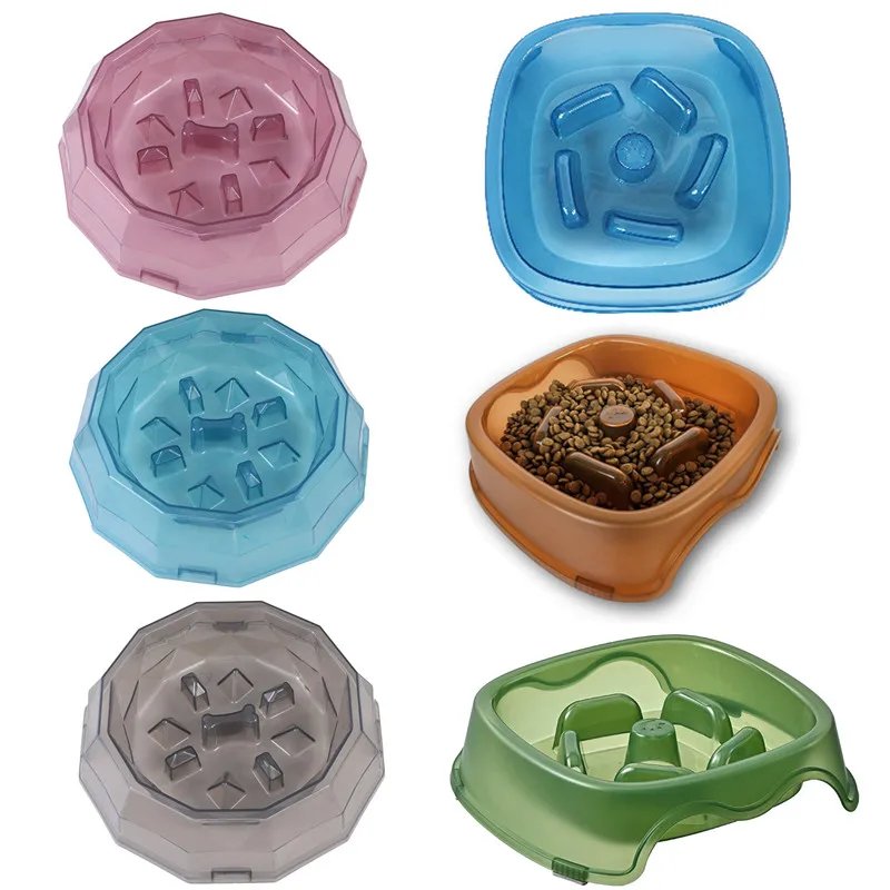 Slow Feeder Bowl: Healthy Eating for Your Pet