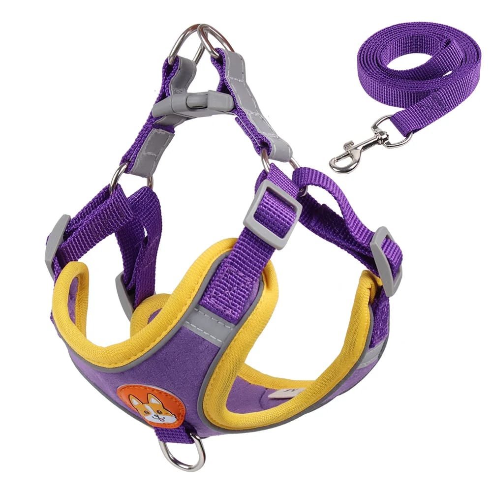 No-Pull Pet Harness and Leash Set: Walk with Ease