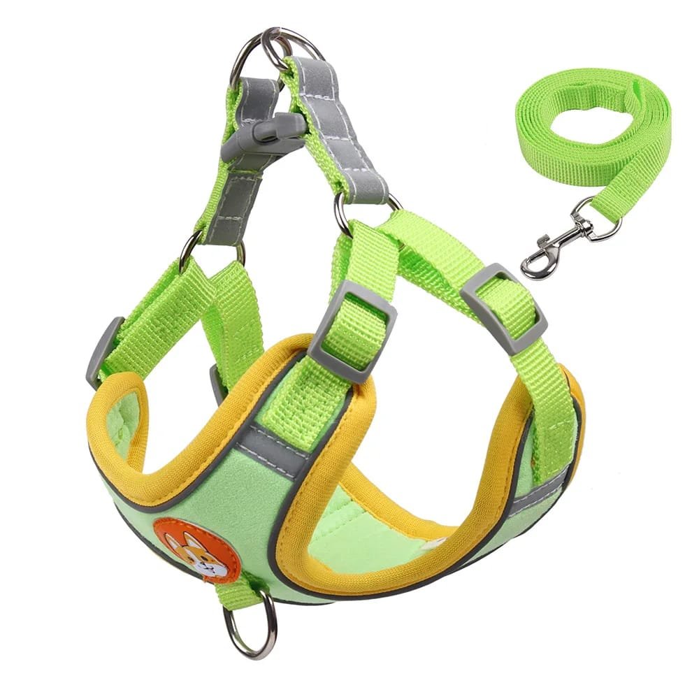No-Pull Pet Harness and Leash Set: Walk with Ease