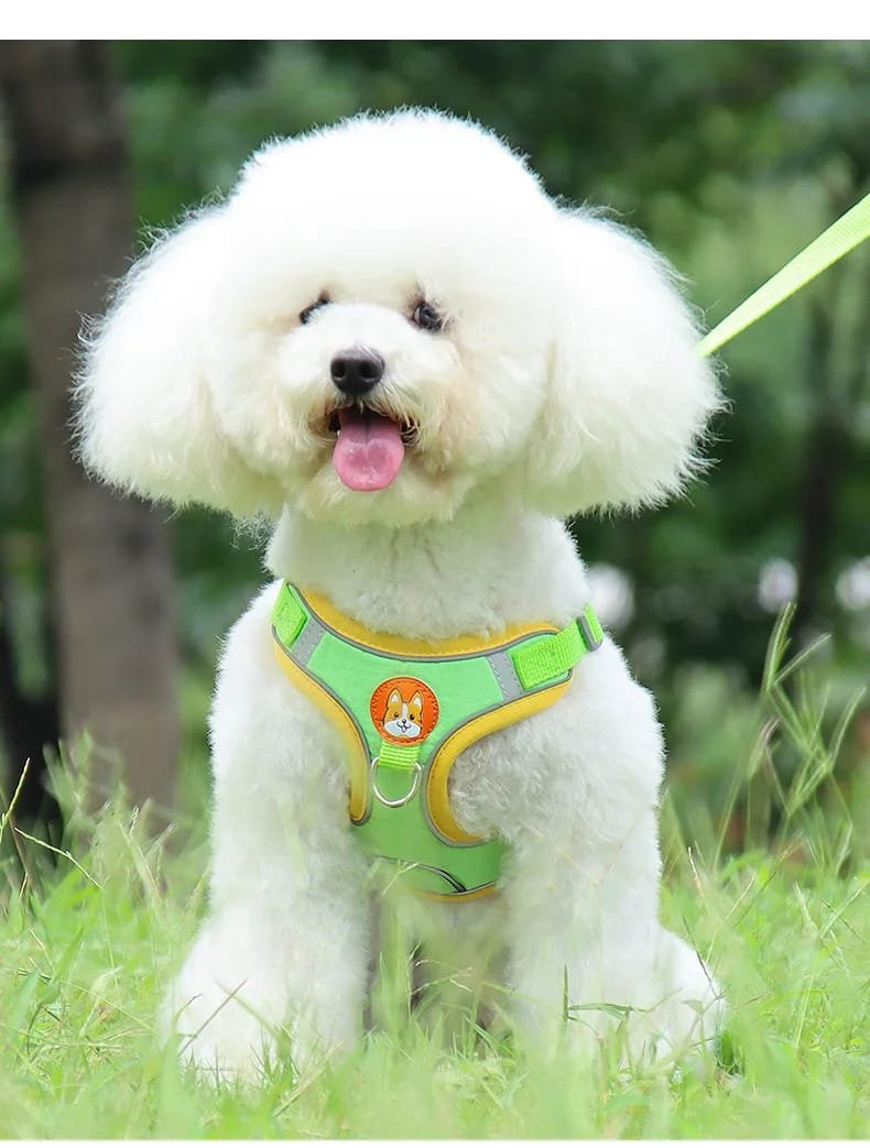 No-Pull Pet Harness and Leash Set: Walk with Ease