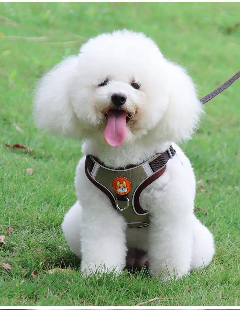 No-Pull Pet Harness and Leash Set: Walk with Ease