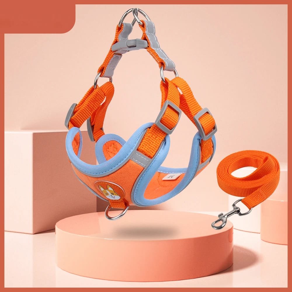 No-Pull Pet Harness and Leash Set: Walk with Ease
