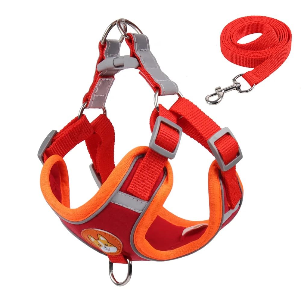 No-Pull Pet Harness and Leash Set: Walk with Ease