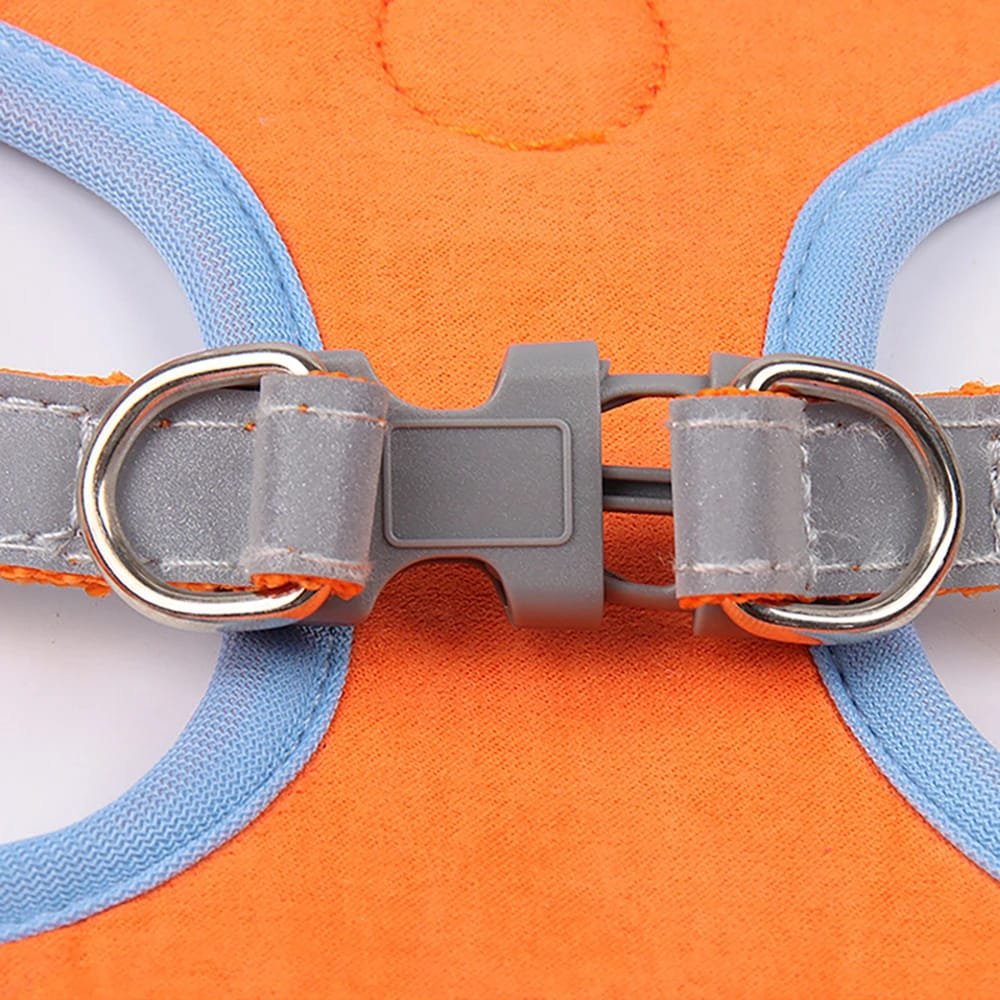 No-Pull Pet Harness and Leash Set: Walk with Ease
