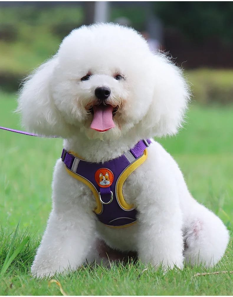 No-Pull Pet Harness and Leash Set: Walk with Ease