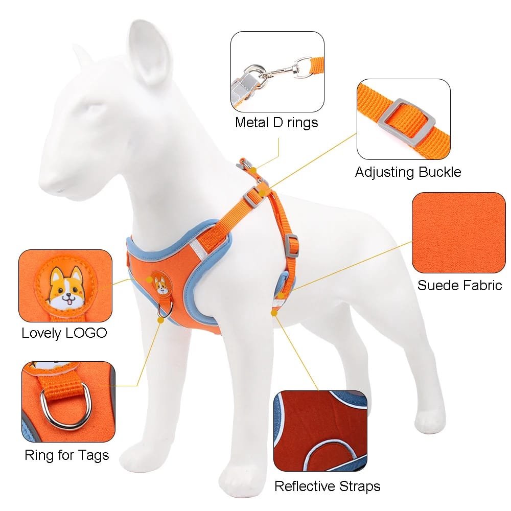No-Pull Pet Harness and Leash Set: Walk with Ease