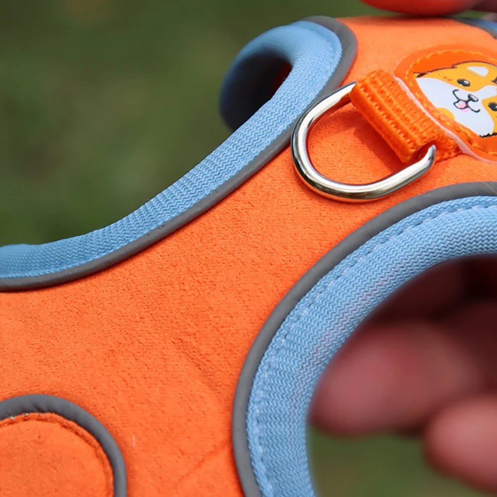 No-Pull Pet Harness and Leash Set: Walk with Ease