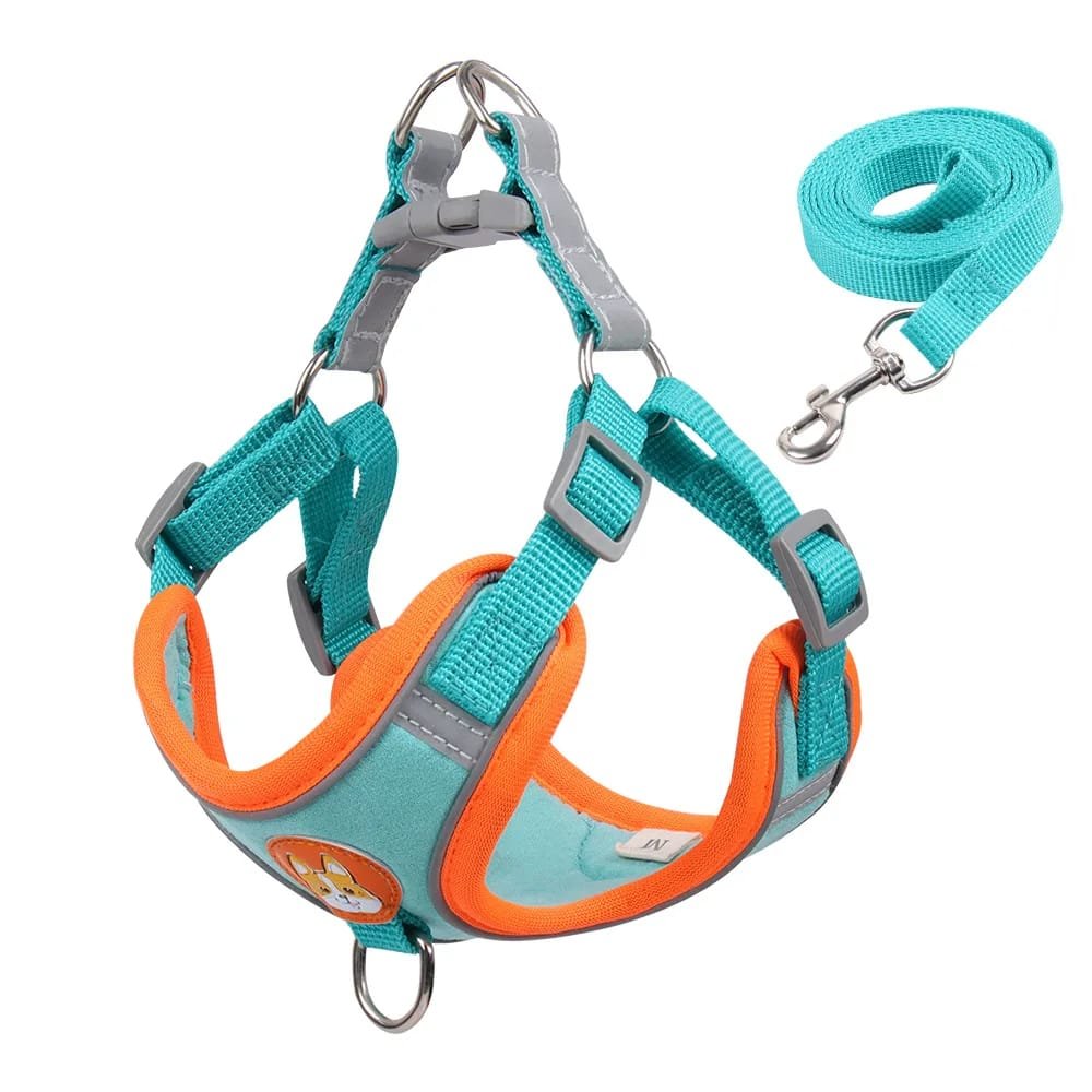 No-Pull Pet Harness and Leash Set: Walk with Ease