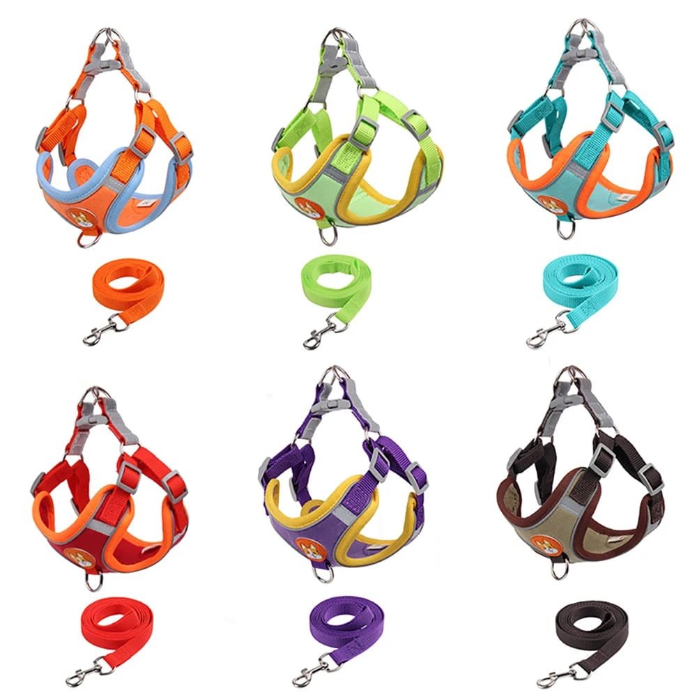 No-Pull Pet Harness and Leash Set: Walk with Ease