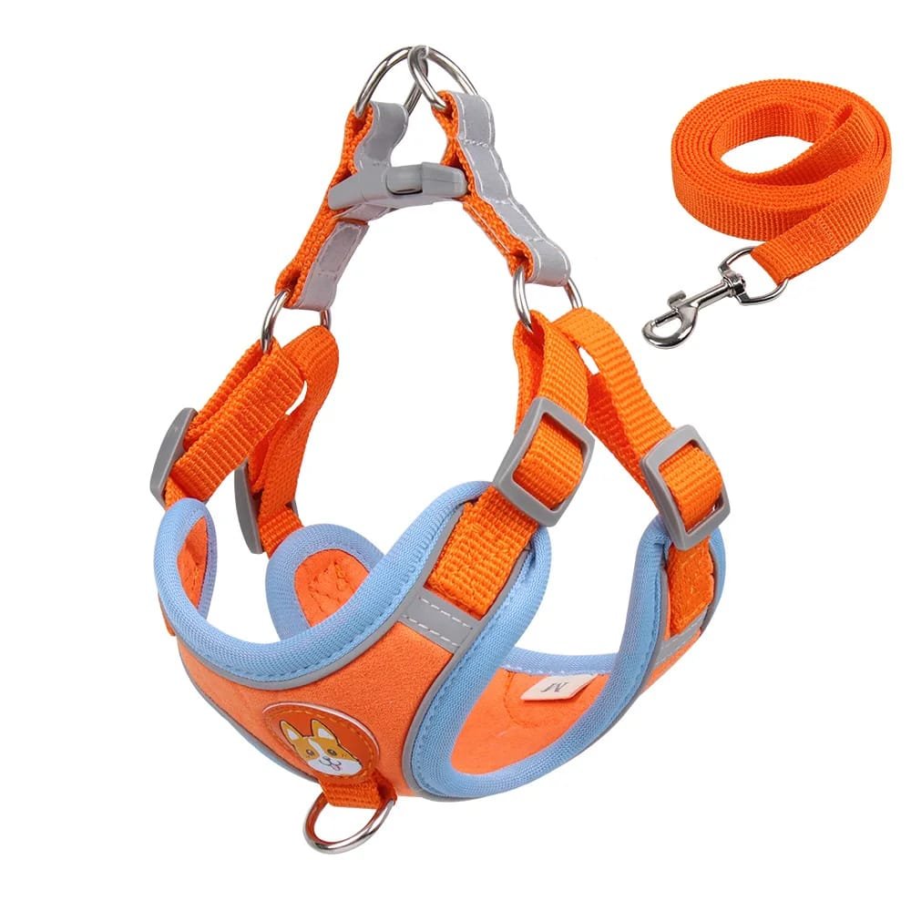No-Pull Pet Harness and Leash Set: Walk with Ease