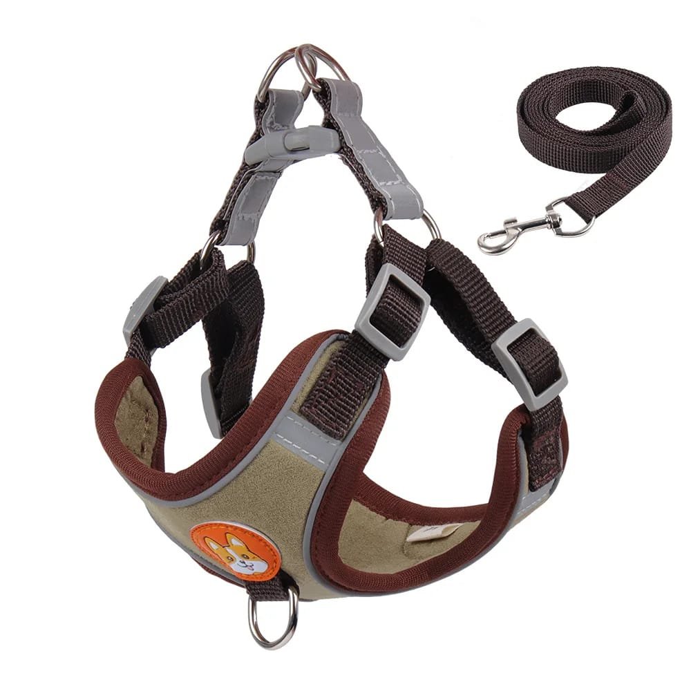 No-Pull Pet Harness and Leash Set: Walk with Ease