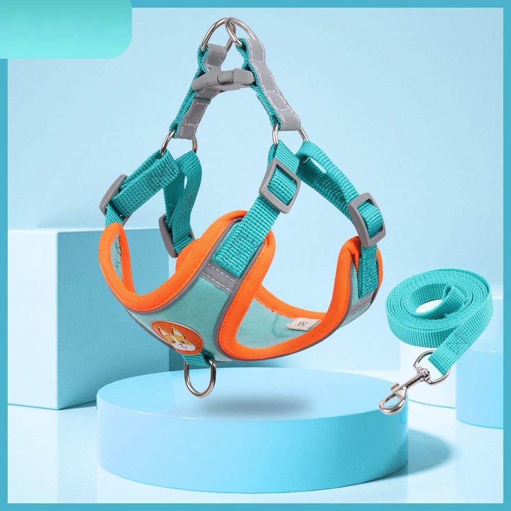 No-Pull Pet Harness and Leash Set: Walk with Ease